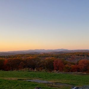 Meet your Posher, Terry